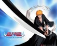 /album/galeria-de-fotos/ichigo-jpg/
