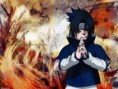 /album/galeria-de-fotos/sasuke-jpg/